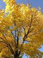 herbst16.jpg